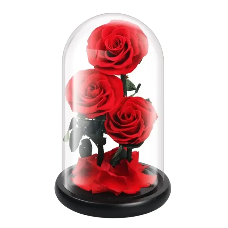 Preserved Flower in Glass Dome – Red Medium Rose