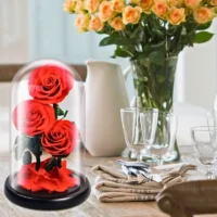 A preserved red rose under a glass dome, beautifully arranged on a table, ideal for Mother's Day or anniversaries.
