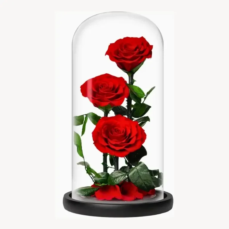 Three red roses preserved in a glass dome, showcasing a classic and romantic forever rose gift.