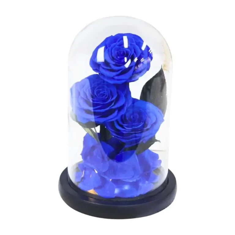 Blue roses in a glass dome on a black base, showcasing three eternal roses, ideal for gifts and home décor.