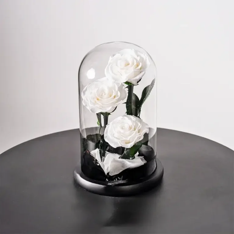 A preserved white rose displayed in a medium luxury glass dome, ideal for special occasions like Valentine's Day and anniversaries.